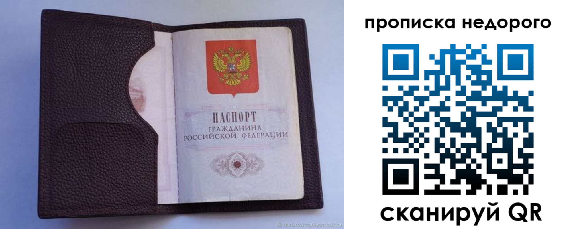 прописка законно в Ленинградской области